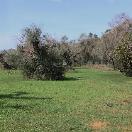 Villa Nanni Gallipoli Exterior photo