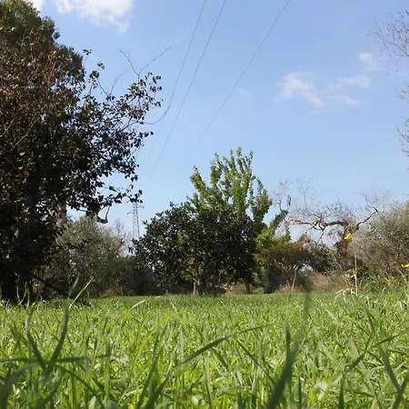Villa Nanni Gallipoli Exterior photo